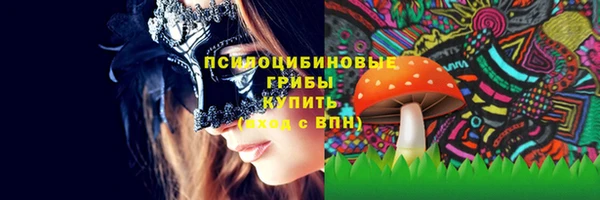 молекула духа Алзамай