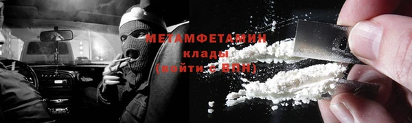 прущие грибы Алексеевка
