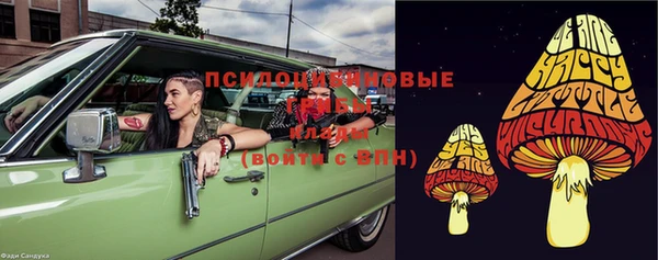 прущие грибы Алексеевка