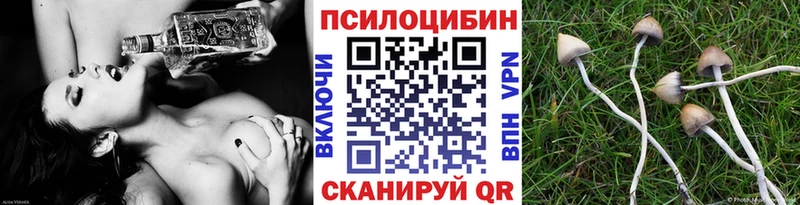 хочу   Кирс  Галлюциногенные грибы мухоморы 
