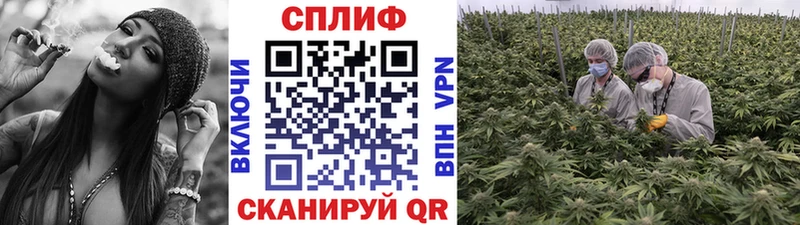 Бошки Шишки марихуана  Кирс 